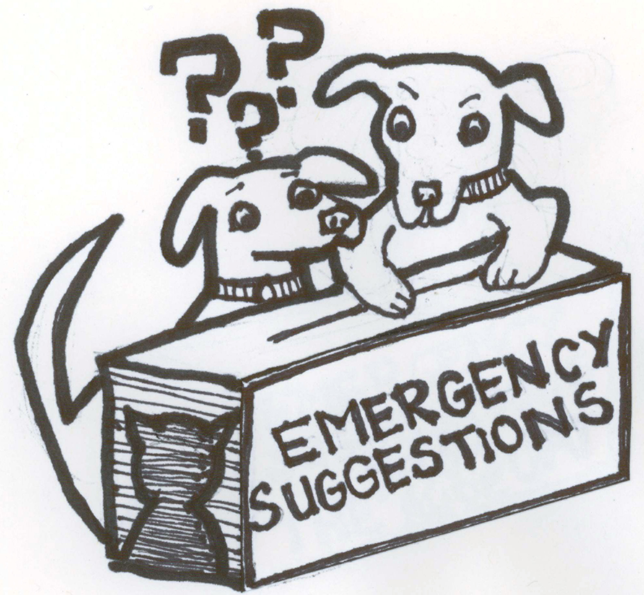 Emergency Suggestions for Dogs